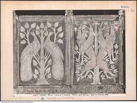 Vorderseite von Alinari [https://www.deutsche-digitale-bibliothek.de/content/lizenzen/rv-ez/] Chorschranke des Bischofs Beraldo - Pfauen, Greife, bh030928_recto. Foto.