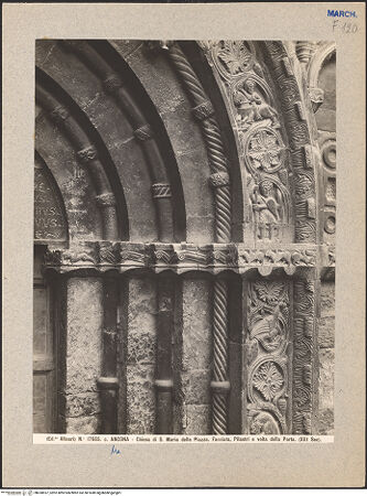 Vorderseite von Alinari [https://www.deutsche-digitale-bibliothek.de/content/lizenzen/rv-ez/] Hauptportal - Rechtes Gewände, Detail: Ornamente, bh030937_recto. Foto.