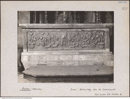 Vorderseite von bh031036_recto