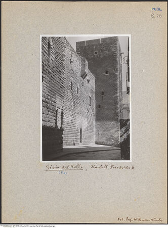 Vorderseite von bh031082_recto