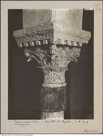 Vorderseite von bh031091_recto