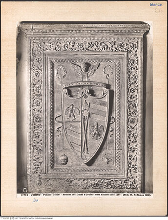 Vorderseite von bh031164_recto