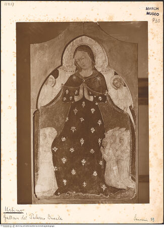 Vorderseite von bh031254_recto