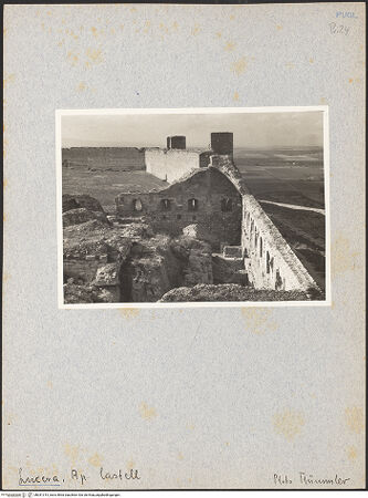 Vorderseite von Thümmler, Hans [https://www.deutsche-digitale-bibliothek.de/content/lizenzen/rv-ez/] Fortezza AngioinaPalast Friedrichs II. - Gewölbe der Nordecke von Südosten, bh031315_recto. Foto: Thümmler, Hans.