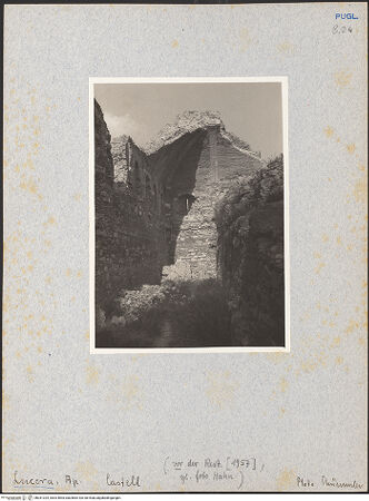 Vorderseite von Thümmler, Hans [https://www.deutsche-digitale-bibliothek.de/content/lizenzen/rv-ez/] Fortezza AngioinaPalast Friedrichs II. - Gewölbe der Nordecke von Südwesten, bh031324_recto. Foto: Thümmler, Hans.