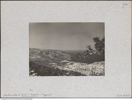 Vorderseite von ENIT [https://www.deutsche-digitale-bibliothek.de/content/lizenzen/rv-ez/] Mattinata (in der nahe von Monte Sant'Angelo), bh031595_recto. Foto.