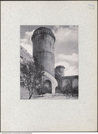 Vorderseite von bh031631_recto