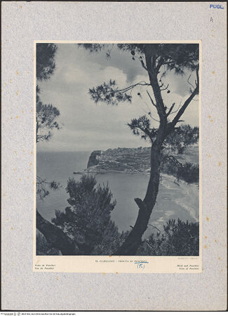 Vorderseite von bh031662_recto