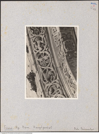 Vorderseite von Thümmler, Hans [https://www.deutsche-digitale-bibliothek.de/content/lizenzen/rv-fz/] HauptportalArchivolten mit Tieren und fantastischen Kreaturen - Linke Seite, Detail, bh032088_recto. Foto: Thümmler, Hans.