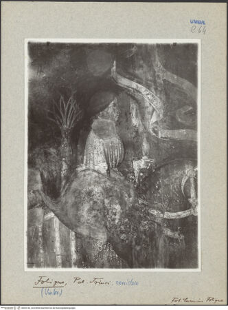 Vorderseite von Carmine (Foligno) [https://www.deutsche-digitale-bibliothek.de/content/lizenzen/rv-ez/] Helden der Antike und des Mittelalters; Lebensalter des MenschenJunger Mensch (Giovinezza) - Teilansicht, bh033142_recto. Foto.