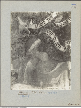 Vorderseite von ICCD [https://www.deutsche-digitale-bibliothek.de/content/lizenzen/rv-ez/] Helden der Antike und des Mittelalters; Lebensalter des MenschenAlter und Altersschwäche (Vecchiaia und Decrepitezza) - Decrepitezza, Detail: Oberkörper, bh033151_recto. Foto.