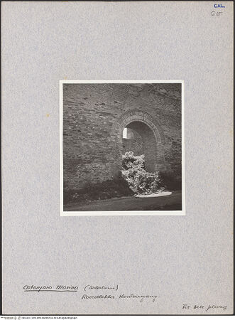 Vorderseite von bh033201_recto