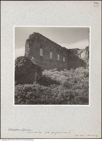 Vorderseite von bh033205_recto