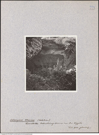 Vorderseite von bh033207_recto