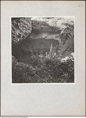 Vorderseite von bh033208_recto