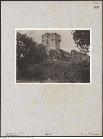 Vorderseite von bh033209_recto