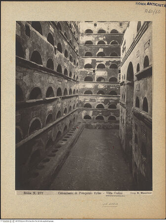 Vorderseite von bh033364_recto