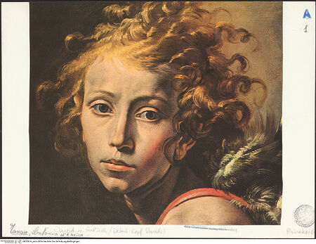 Vorderseite von bh033676_recto