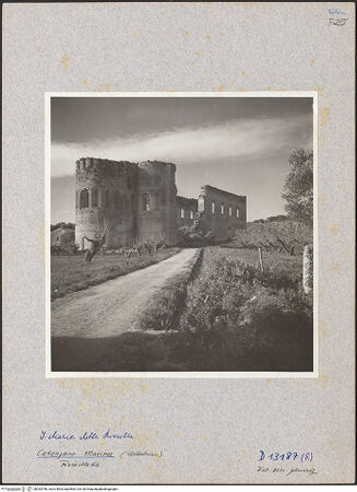 Vorderseite von bh033786_recto