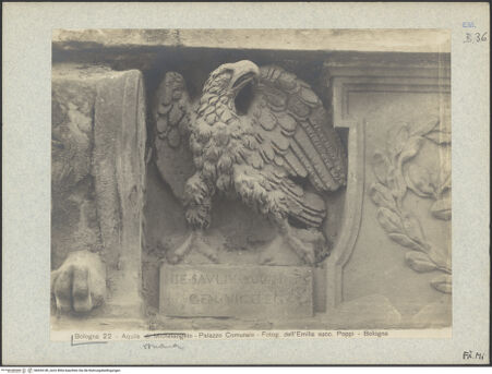 Vorderseite von bh034149_recto