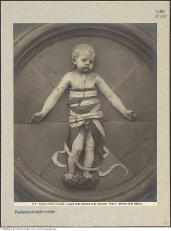 Vorderseite von bh034419_recto