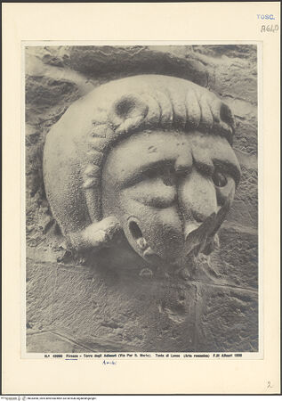 Vorderseite von bh034446_recto