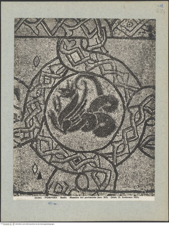 Vorderseite von Alinari [https://www.deutsche-digitale-bibliothek.de/content/lizenzen/rv-ez/] Fußboden des Mittelschiffes - Detail des Fußbodens des alten Chors/Presbyteriums, bh035603_recto. Foto.