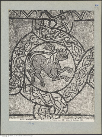 Vorderseite von Alinari [https://www.deutsche-digitale-bibliothek.de/content/lizenzen/rv-ez/] Fußboden des Mittelschiffes - Detail des Fußbodens des alten Chors/Presbyteriums, bh035605_recto. Foto.