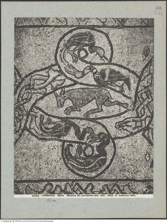 Vorderseite von Alinari [https://www.deutsche-digitale-bibliothek.de/content/lizenzen/rv-ez/] Fußboden des Mittelschiffes - Detail des Fußbodens des alten Chors/Presbyteriums, bh035606_recto. Foto.