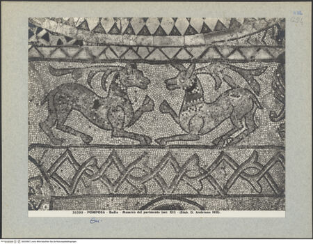 Vorderseite von Alinari [https://www.deutsche-digitale-bibliothek.de/content/lizenzen/rv-ez/] Fußboden des Mittelschiffes - Detail des Fußbodens des alten Chors/Presbyteriums, bh035607_recto. Foto.