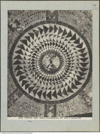 Vorderseite von Alinari [https://www.deutsche-digitale-bibliothek.de/content/lizenzen/rv-ez/] Fußboden des Mittelschiffes - Detail des Fußbodens im Eingangsbereich, bh035608_recto. Foto.