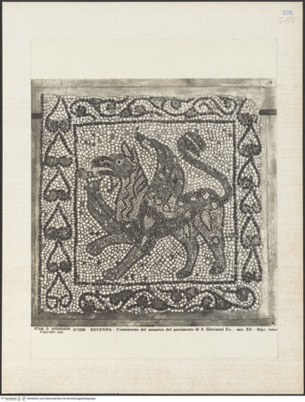 Vorderseite von Alinari [https://www.deutsche-digitale-bibliothek.de/content/lizenzen/rv-ez/] Fragmente des alten Fußbodens (Vierter Kreuzzug, Roman de Renard, Bestiarium)Greif - Gesamtansicht, bh036439_recto. Foto.