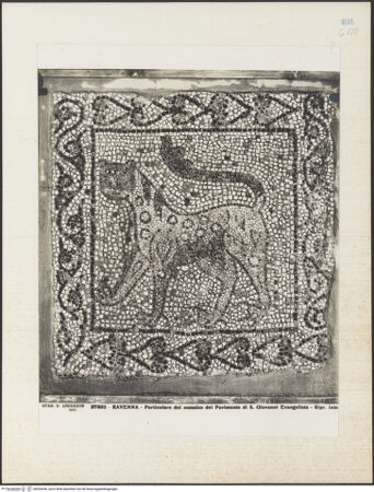 Vorderseite von Alinari [https://www.deutsche-digitale-bibliothek.de/content/lizenzen/rv-ez/] Fragmente des alten Fußbodens (Vierter Kreuzzug, Roman de Renard, Bestiarium)Panther - Gesamtansicht, bh036440_recto. Foto.