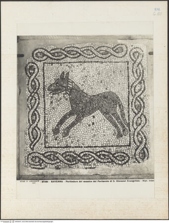 Vorderseite von Alinari [https://www.deutsche-digitale-bibliothek.de/content/lizenzen/rv-ez/] Fragmente des alten Fußbodens (Vierter Kreuzzug, Roman de Renard, Bestiarium)Hund - Gesamtansicht, bh036441_recto. Foto.