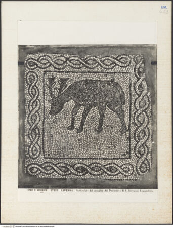 Vorderseite von Alinari [https://www.deutsche-digitale-bibliothek.de/content/lizenzen/rv-ez/] Fragmente des alten Fußbodens (Vierter Kreuzzug, Roman de Renard, Bestiarium)Hirsch - Gesamtansicht, bh036447_recto. Foto.