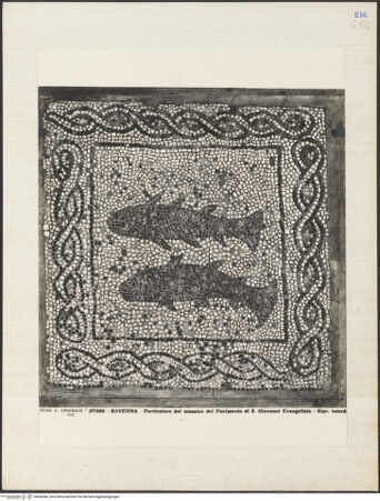 Vorderseite von Alinari [https://www.deutsche-digitale-bibliothek.de/content/lizenzen/rv-ez/] Fragmente des alten Fußbodens (Vierter Kreuzzug, Roman de Renard, Bestiarium)Fisch - Gesamtansicht, bh036449_recto. Foto.