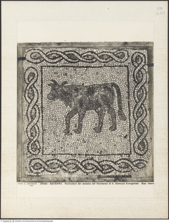 Vorderseite von Alinari [https://www.deutsche-digitale-bibliothek.de/content/lizenzen/rv-ez/] Fragmente des alten Fußbodens (Vierter Kreuzzug, Roman de Renard, Bestiarium)Kuh - Gesamtansicht, bh036450_recto. Foto.