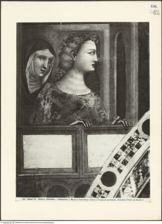 Vorderseite von Alinari [https://www.deutsche-digitale-bibliothek.de/content/lizenzen/rv-ez/] Jüngstes Gericht und Taten des Antichrists; Szenen aus dem Leben Marias; Szenen aus dem Leben ChristiSüdwand, unteres Register: der Kindermord - Detail (linke Seite), bh036478_recto. Foto.