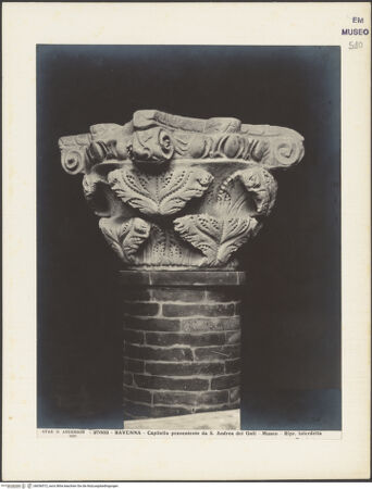 Vorderseite von Alinari [https://www.deutsche-digitale-bibliothek.de/content/lizenzen/rv-ez/] Kapitell aus der Kirche Sant'Andrea dei Goti - Gesamtansicht, bh036572_recto. Foto.