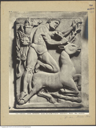 Vorderseite von Alinari [https://www.deutsche-digitale-bibliothek.de/content/lizenzen/rv-ez/] Herkules fängt die Hindin von Ceryneia ein - Gesamtansicht, bh036575_recto. Foto.