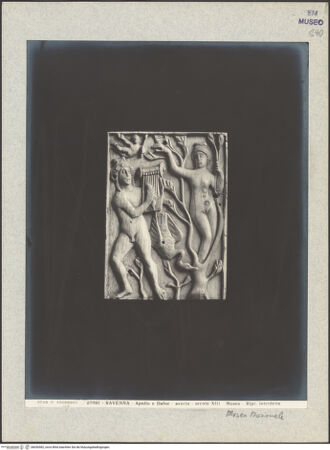 Vorderseite von Alinari [https://www.deutsche-digitale-bibliothek.de/content/lizenzen/rv-ez/] Apollo und Dafne - Gesamtansicht, bh036582_recto. Foto.