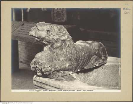 Vorderseite von Alinari [https://www.deutsche-digitale-bibliothek.de/content/lizenzen/rv-ez/] Löwe - Gesamtansicht, bh036588_recto. Foto.