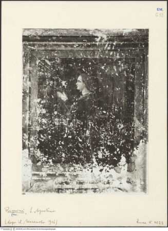 Vorderseite von ICCD [https://www.deutsche-digitale-bibliothek.de/content/lizenzen/rv-ez/] Szenen aus dem MarienlebenJüngere Stifterin - Gesamtansicht (vor der Restaurierung), bh036638_recto. Foto.