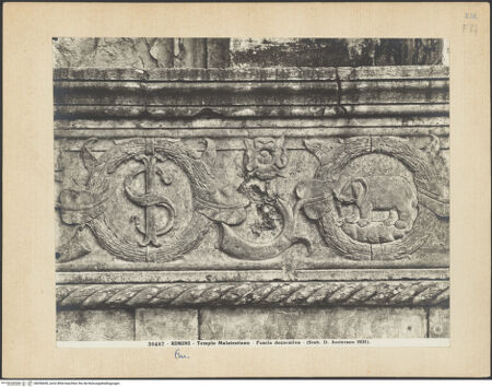 Vorderseite von bh036650_recto