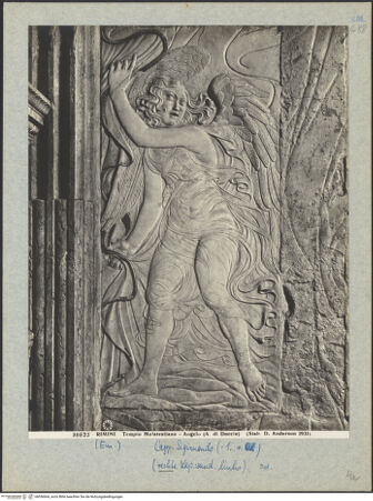 Vorderseite von bh036664_recto