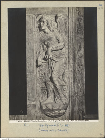 Vorderseite von bh036669_recto