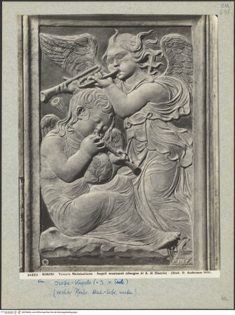 Vorderseite von bh036694_recto