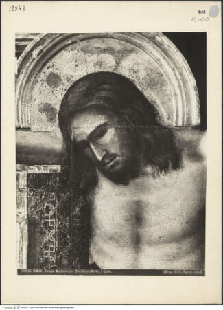 Vorderseite von Alinari [https://www.deutsche-digitale-bibliothek.de/content/lizenzen/rv-ez/] Tafelkreuze (Christus Patiens) - Detail, Kopf, bh036711_recto. Foto.