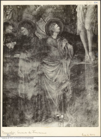 Vorderseite von bh036761_recto