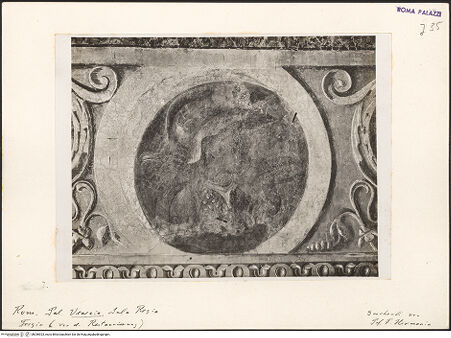 Vorderseite von bh036923_recto